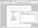 openoffice 3.0.1